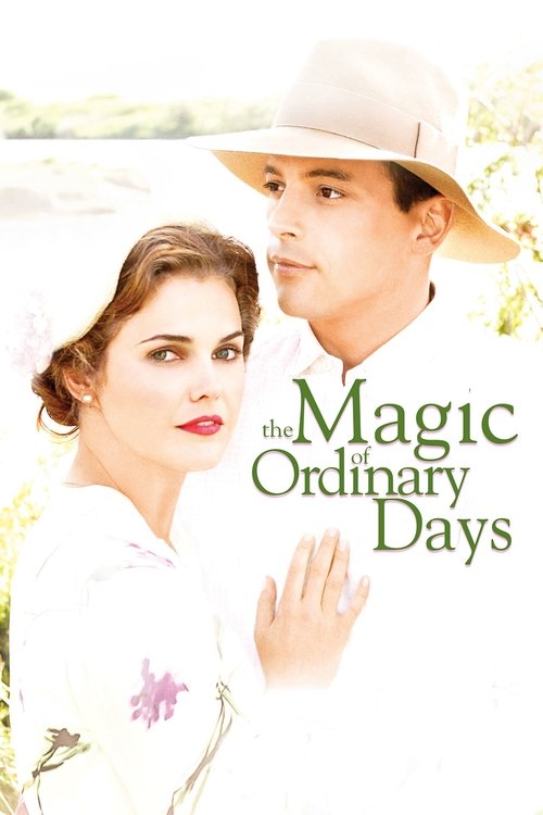 The Magic of Ordinary Days (2005) film posteri