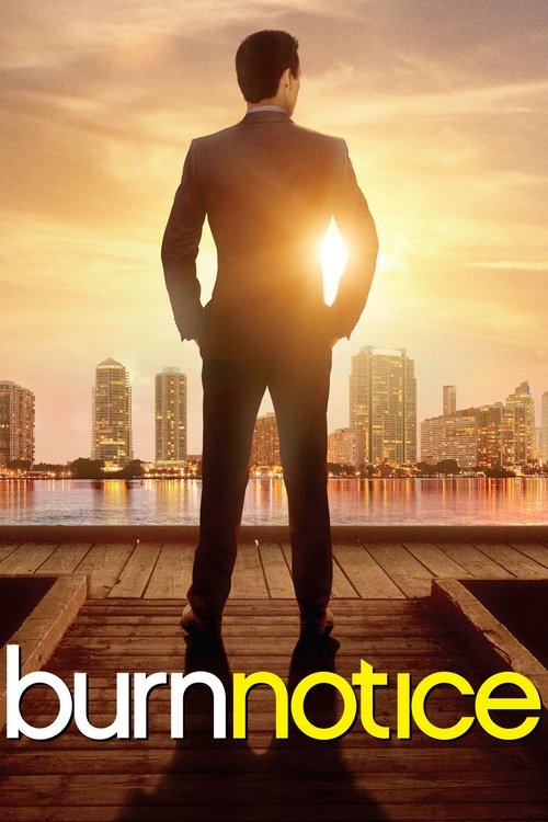 Burn Notice (2007) film posteri