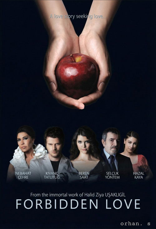 Aşk-ı Memnu (2008) film posteri