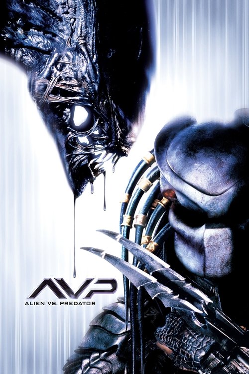 Alien Predator’a Karşı (2004) film posteri