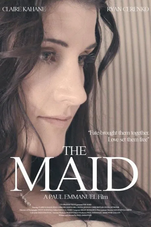 The Maid (2014) film posteri