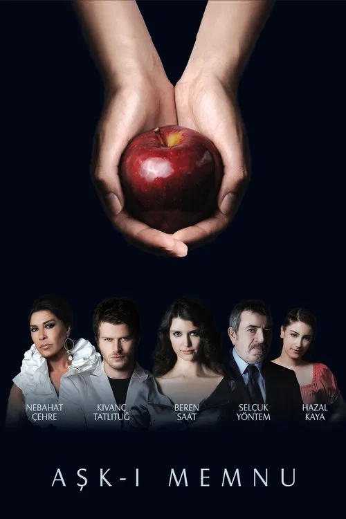 Aşk-ı Memnu (2008) film posteri