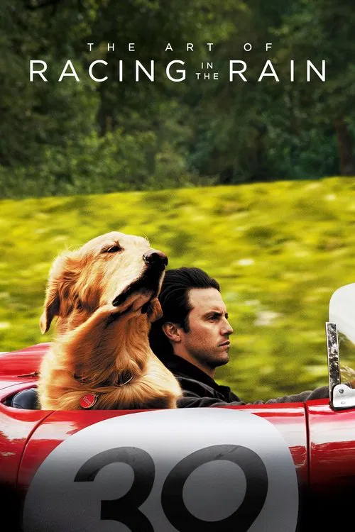 Enzo: Yağmurda Yarış Sanatı (2019) film posteri