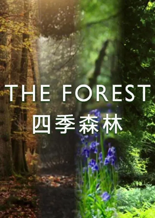 The Forest (2017) film posteri