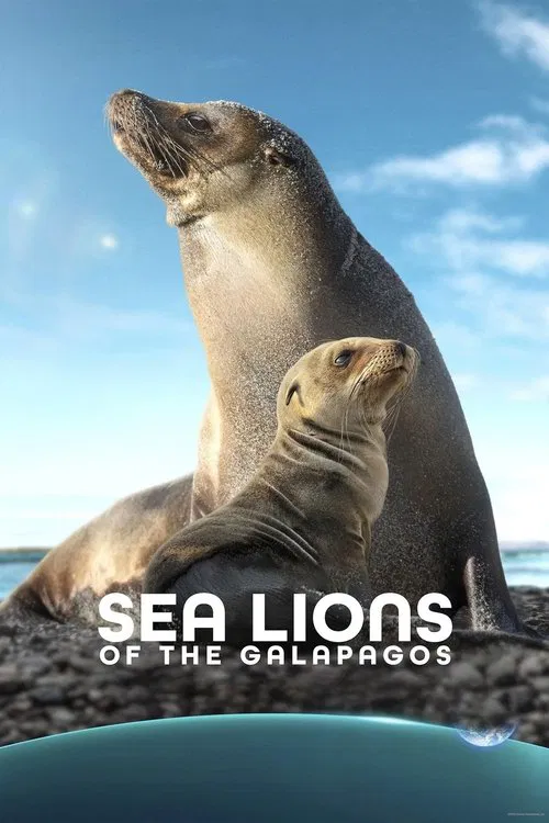 Galapagos’un Denizaslanları (2025) film posteri