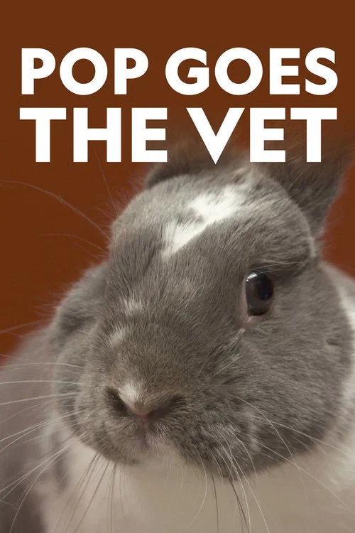 Pop Goes the Vet (2020) film posteri