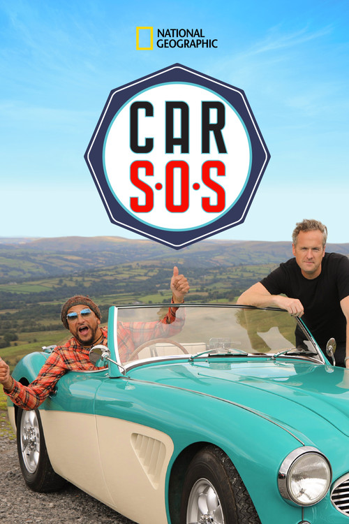 Araba S.O.S. (2013) film posteri