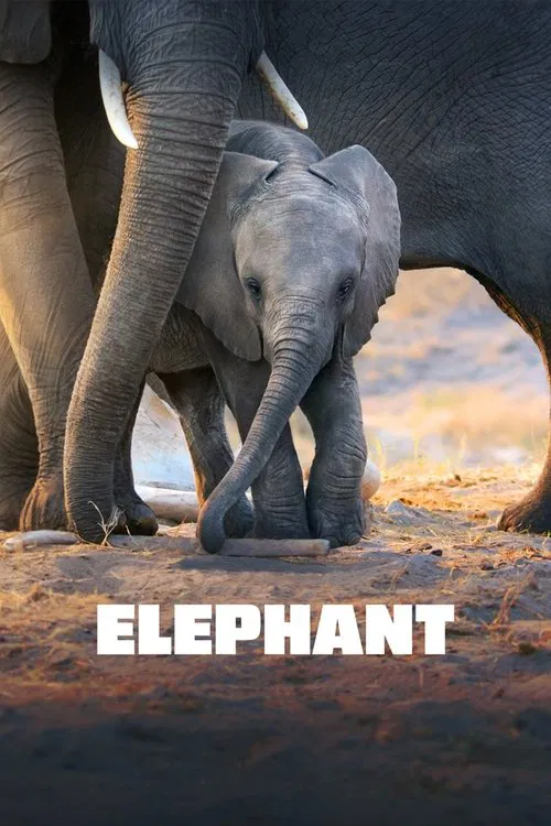 Elephant (2020) film posteri
